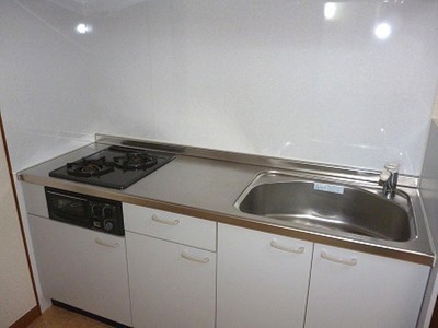 Kitchen. Gas two-burner system Kitchen