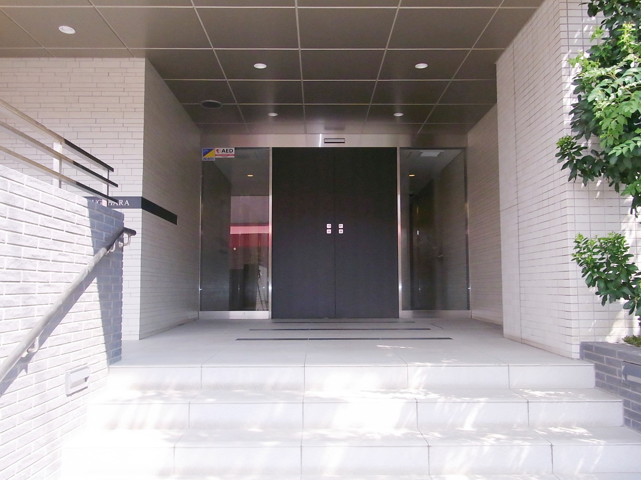 Entrance. Fashionable in some dignified entrance