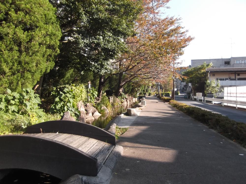 Other local. Local surrounding environment Pedestrian path