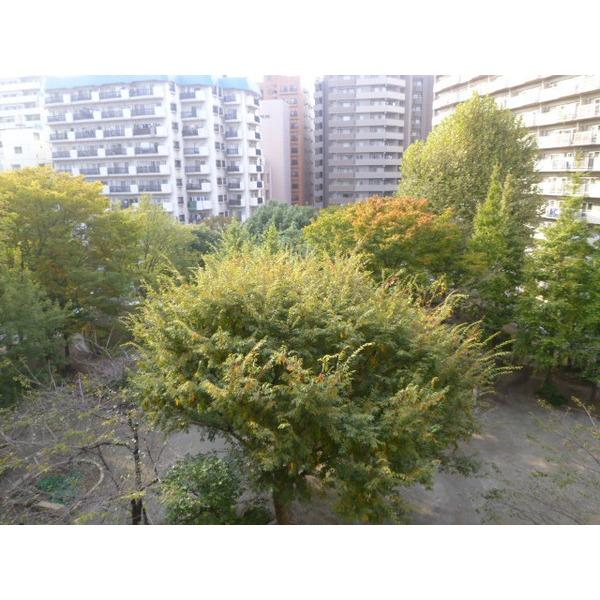 View photos from the dwelling unit. View