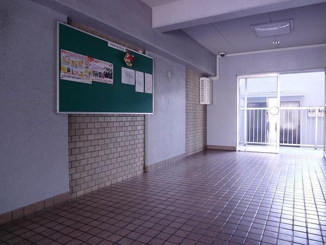 Entrance. Common areas