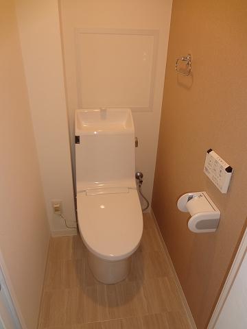 Toilet. Cleaning function toilet