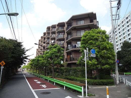 Local appearance photo. Local (10 May 2013) Shooting