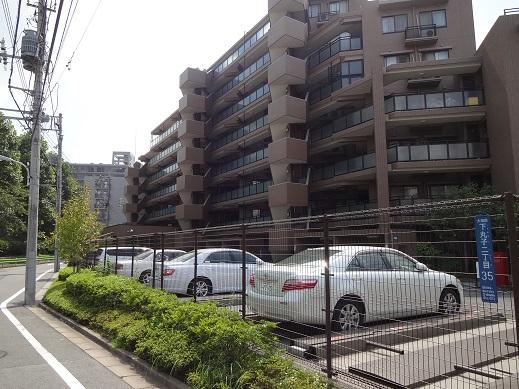 Local appearance photo. Local (10 May 2013) Shooting