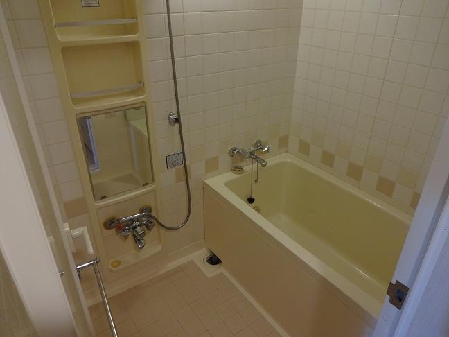 Bathroom. Indoor (10 May 2013) Shooting