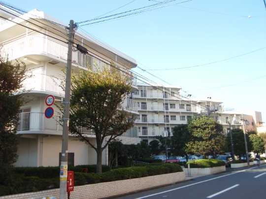 Local appearance photo. Appearance (1)