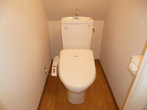 Toilet. With cleaning warm toilet seat