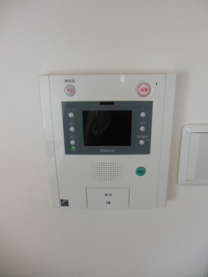 Security. Monitor with intercom