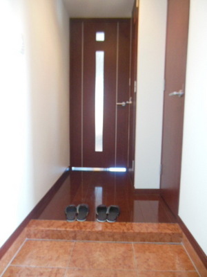 Entrance. Entrance space