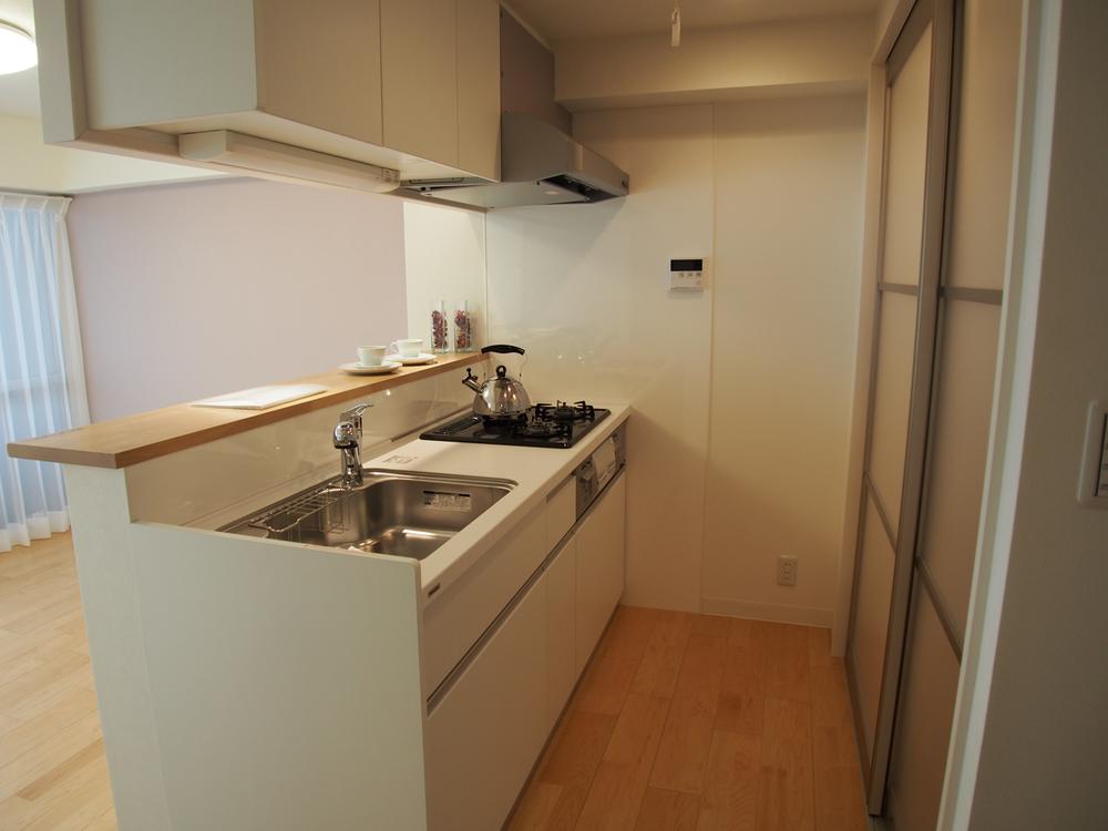 Kitchen. Indoor (11 May 2013) Shooting