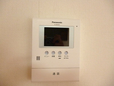 Security. Security aspects peace of mind in the TV monitor phone equipped