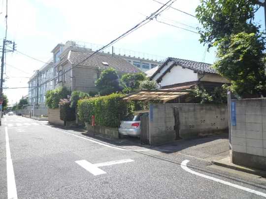 Local land photo. Appearance (1)