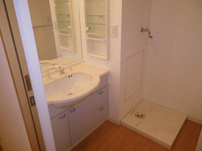 Washroom. Busy morning shampoo in 5 minutes OK