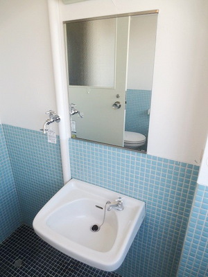 Washroom. Wash basin