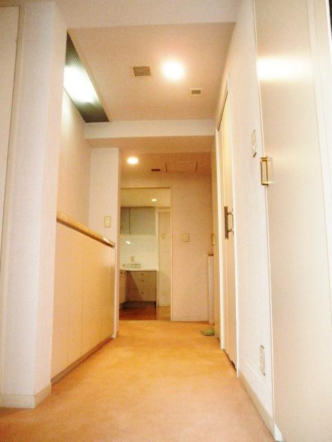 Other introspection. Corridor of the room as seen from the north