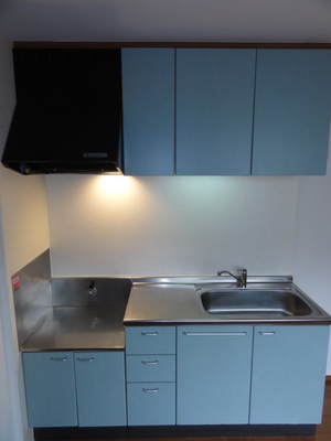 Kitchen. Two-burner stove installation Allowed Kitchen