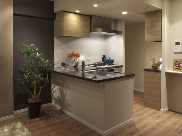 Kitchen.  [kitchen] The kitchen is LD and a sense of unity a stylish full-open type.