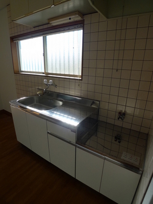 Kitchen. Gas stove installation type