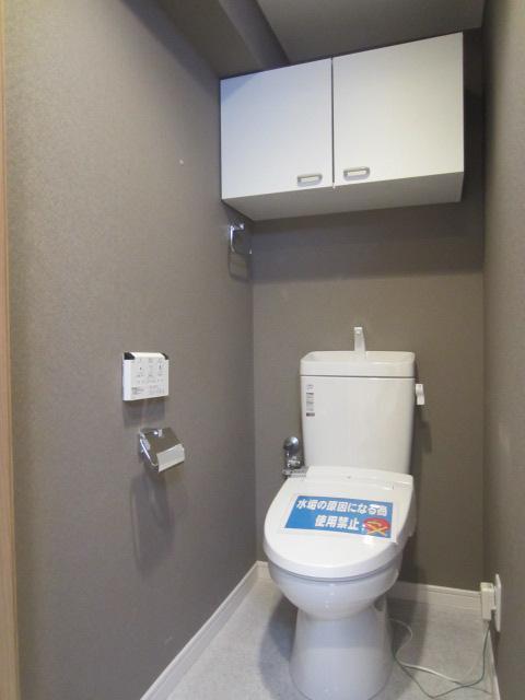 Toilet. Toilet with storage shelf