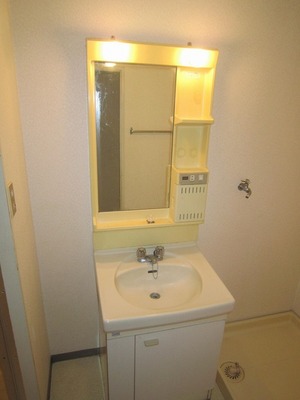 Washroom. Happy independence washbasin