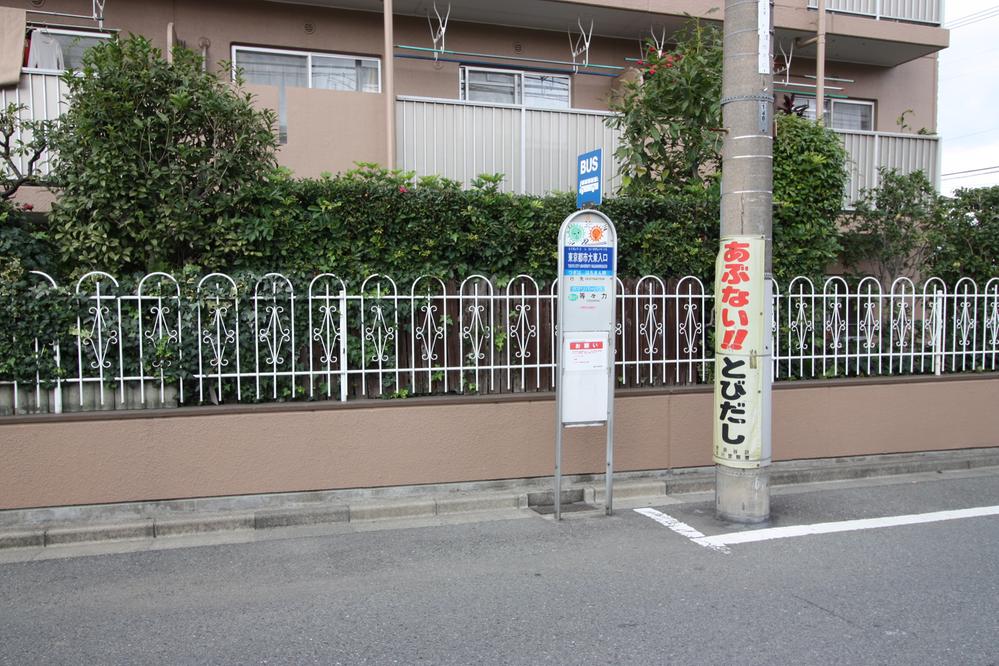 Other. It is about 1 minute to the bus stop hangout over bus.