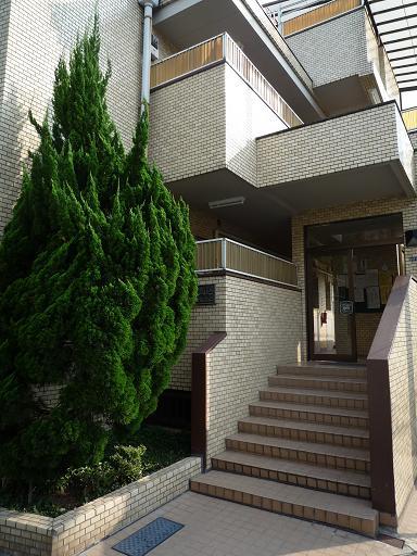 Entrance. Paste appearance tile