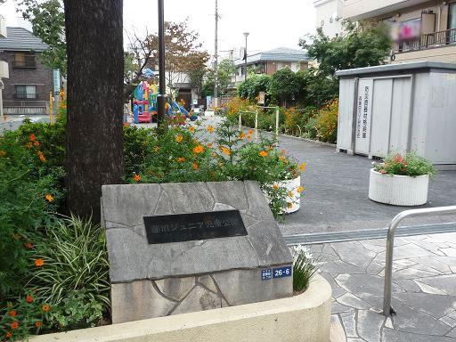 park. Nishikamata Junior park children park debut - close