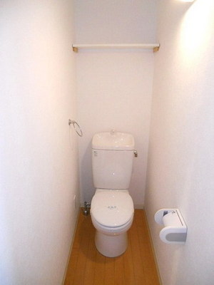 Toilet. Toilet