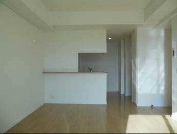 Living and room. Living 12.2 Pledge