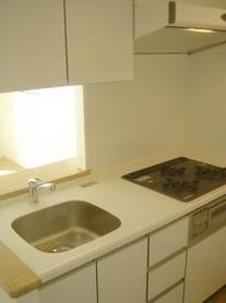 Kitchen. 2-neck system Gasukitchin