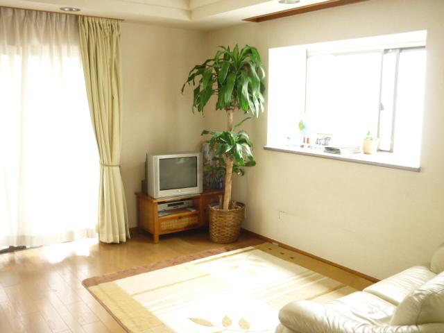 Living. Bright and airy about 15.4 Pledge of living