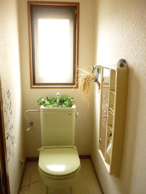 Toilet. Pleasant restroom there is a window