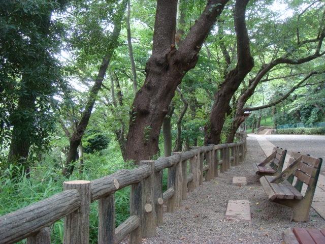 park. 1064m to the Tama River stand park
