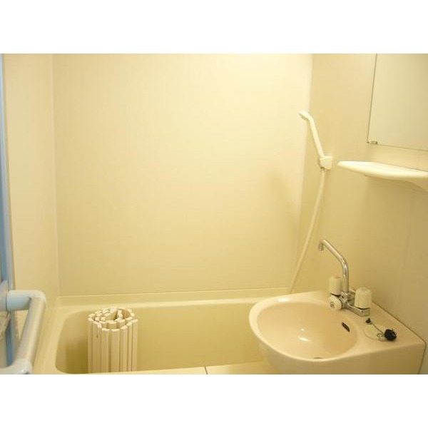 Bath. Bathroom dryer with bus