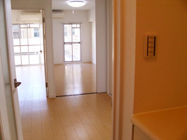 Living. Living entrance