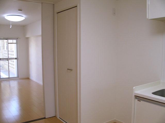 Other. Indoor Laundry storage (storage type)