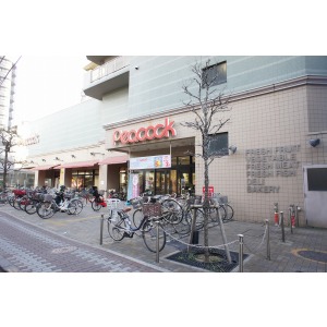 Supermarket. Daimarupikokku Ishikawadai 288m to the store (Super)