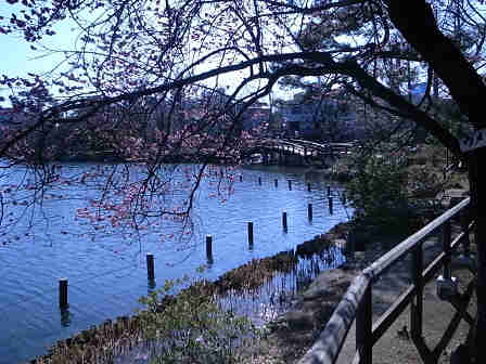 Other. Good living environment neighbor is in Senzokuike park