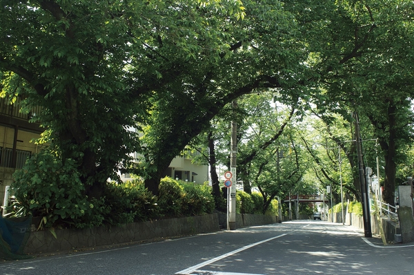 Other. Sakurazaka Kiridoshi (about 360m) is the old Nakahara highway in the corner of Den'enchofuhon cho. Made famous by the hit song, It has become the new attractions of Tokyo. It is one of the same properties of a train station "Numabe" close to the station, You can enjoy the beautiful cherry blossoms of the landscape in the spring