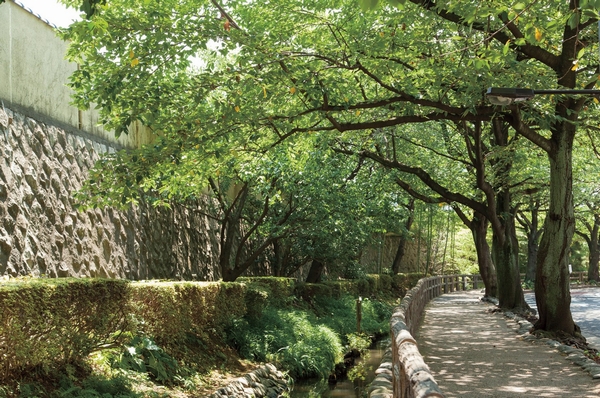Other. The early Edo period to be digging as agricultural water was Rokugo water mark (about 600m). Along this water has become a quiet promenade, Now it has become a biotope, such as play carp and turtles in the clear stream. Tama River is a popular spot as well as the course of the walk