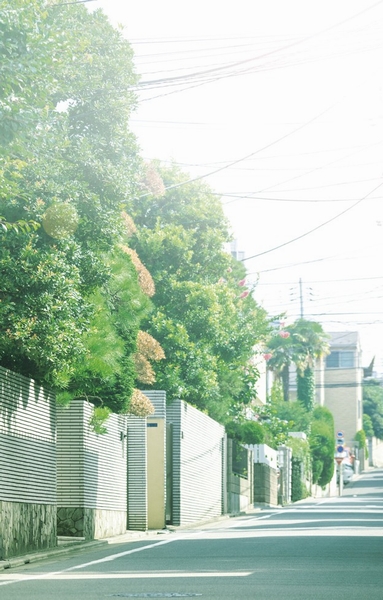 Other. Local of some Den'enchofuhon town streets (about 400m). Mansion District neighborhood is spread on a hill, Impressive little quiet living environment of traffic. Also lined with many large private home of the garden only to, Green fragrant dark calm town of atmosphere also has become a favorability enough