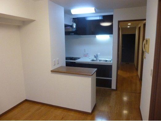 Living. ~ November 28, the interior has been completed ~  Facing south, View is good per yang.  Is LDK of adoption back counter kitchen.  Pet breeding Allowed (bylaws Yes).