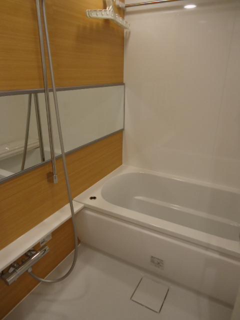 Bathroom. Indoor (January 2014) Shooting