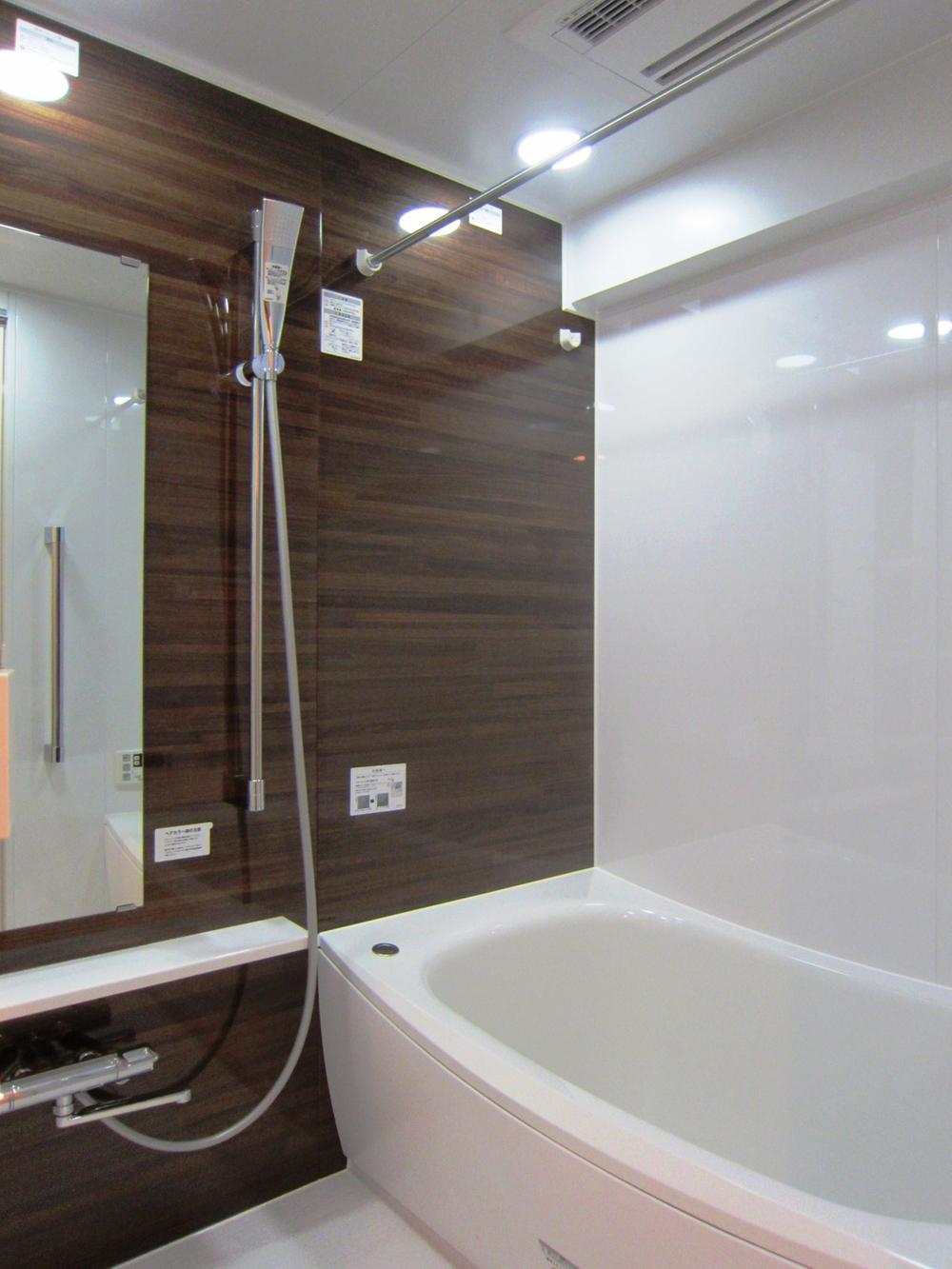 Bathroom. Indoor (10 May 2013) Shooting