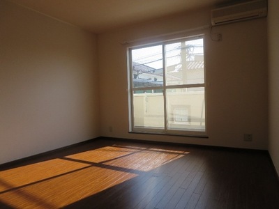 Living and room. South-facing bright rooms