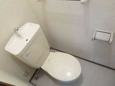 Toilet. Toilet