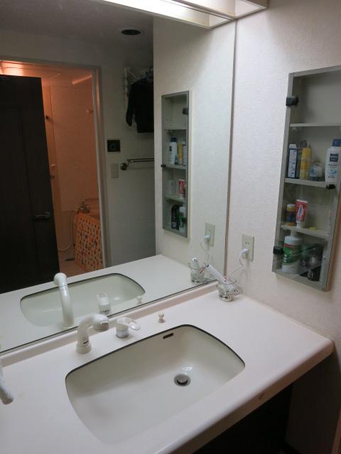 Wash basin, toilet. Indoor (12 May 2013) Shooting