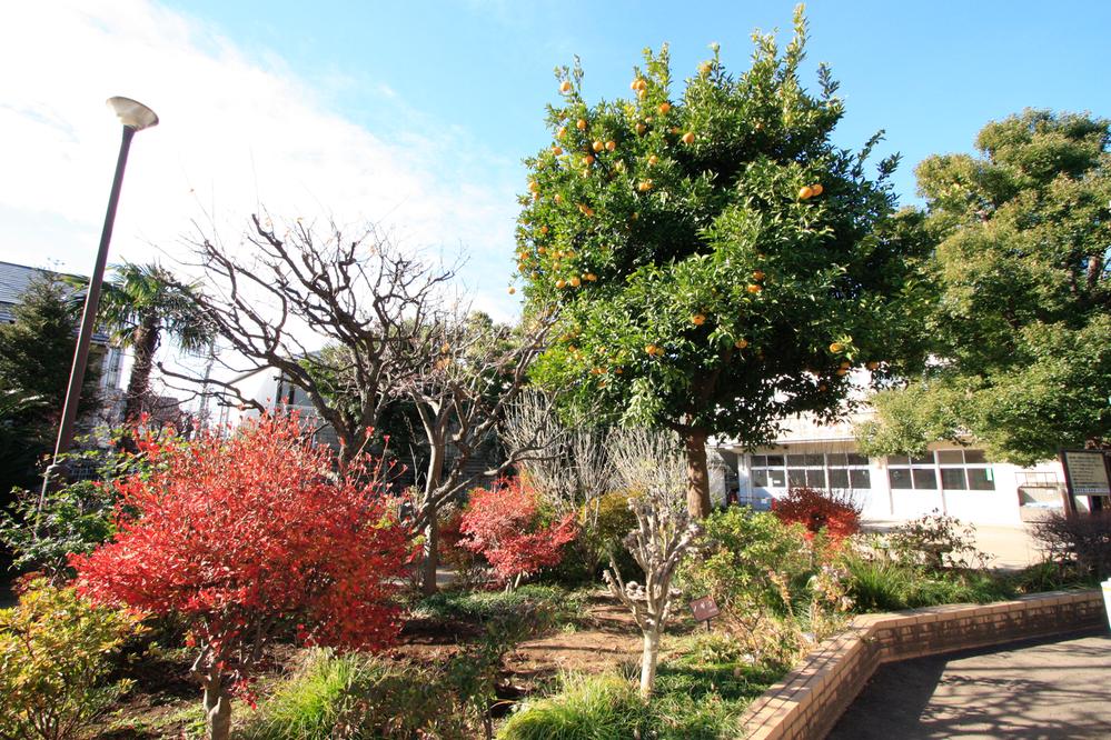 Other. Neighborhood park Denenchofu sparrow children's park