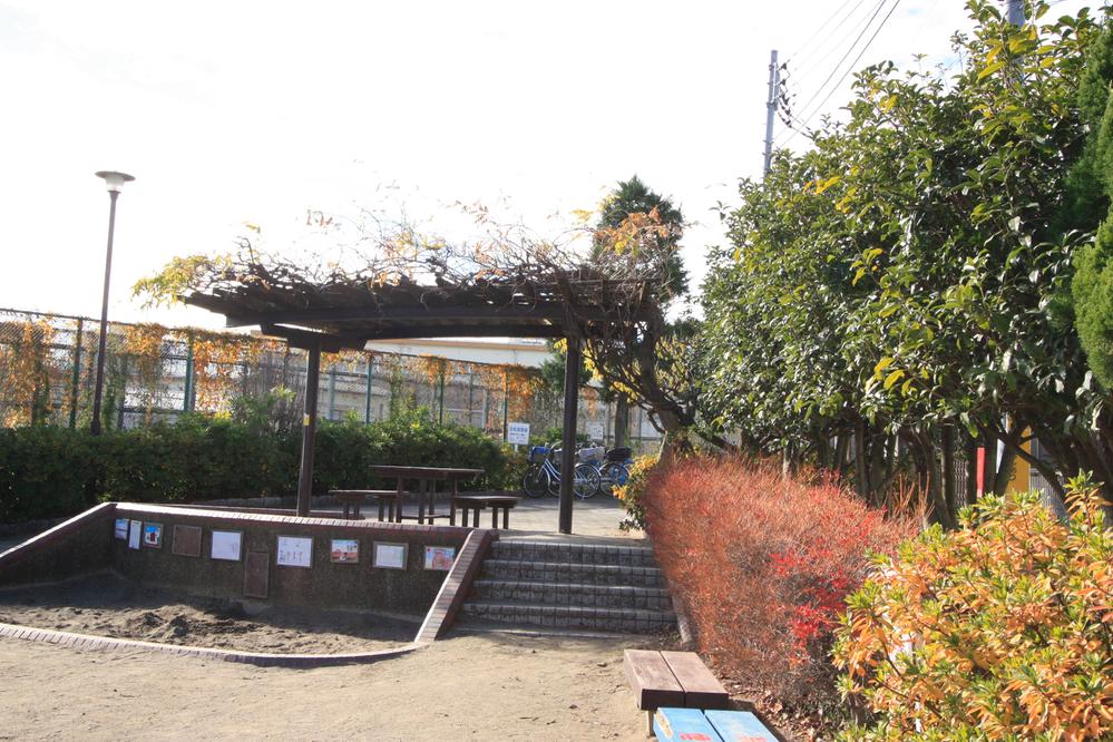 Other. Neighborhood park Higashihara camphor tree park