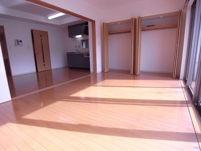 Living and room. Closet There are two